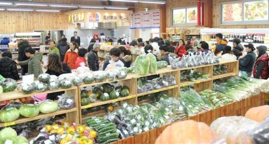 완주 로컬푸드 신선함에 반했다
