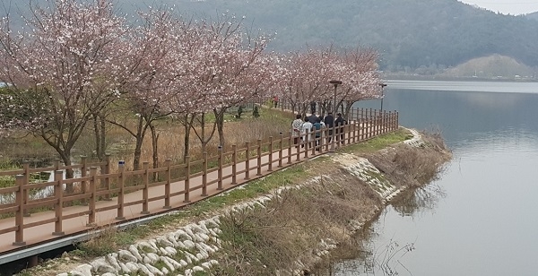 김제 금평저수지 둘레길 금평곁길 조성