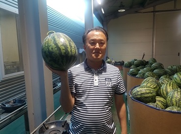 [생활의달인] 수박 선별의 달인…최고의 수박을 골라내는 비법은?