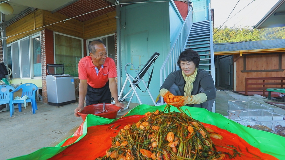 [한국기행] 섬마을 밥집 5부. 선유도 어부의 낭만 밥상