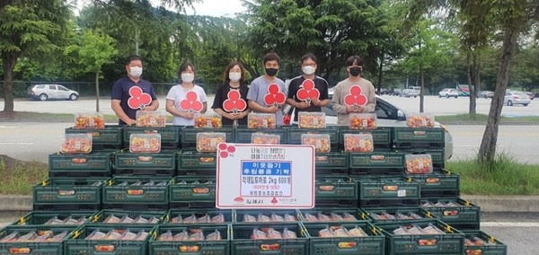 하랑영농조합법인, 칵테일토마토 600박스 기탁