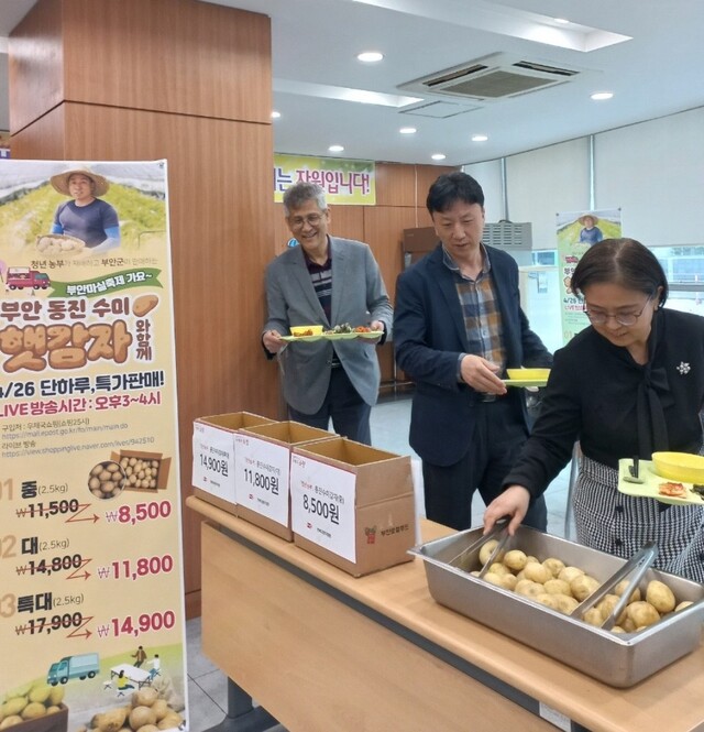 부안군 대표 특산품 동진수미감자 판매 인기