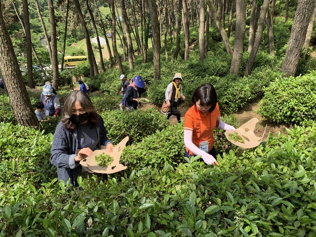 익산산림조합 제9회 숲속 문화제 성료