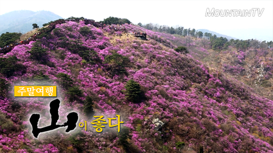 가정의 달 5월, 강화 고려산으로 가족나들이 떠나보세요~