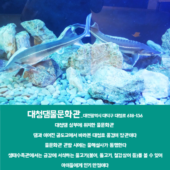 [NC라이프] 11월 한정으로 만날 수 있는 특별한 투어