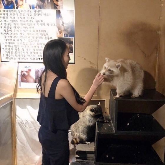 [#별별샷]두산 베어스 치어리더 ‘이나경’…라쿤 먹이 주는 모습도 ‘여신’