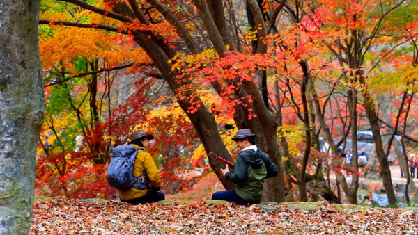 순창10경 강천산군립공원, 가을을 걷다