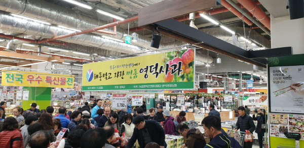 영덕 사과 수도권 소비자 입맛 잡는다