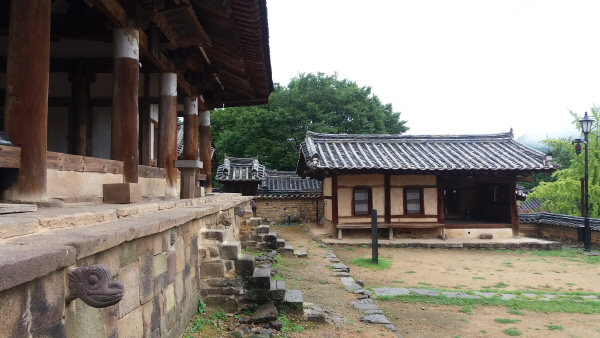 지팡이 짚은 440살 은행나무, 오랜 세월 더 보고 싶구나