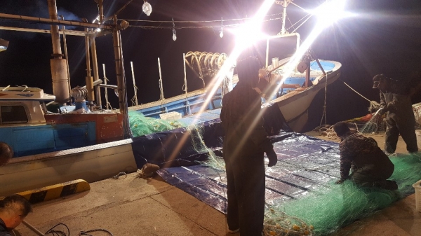 선주가 잡아올린 싱싱한 해물, 포항 알찬수산