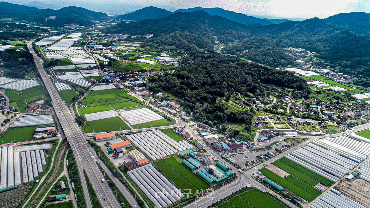 [성주 참외향기마을 카페옐롱]열정 + 아이디어…성주 참외의 미래를 연다