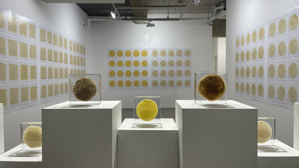 갤러리 팔조, 황인모 너도 꽃_라면레포트展...부서진 라면사리, 상처받은 현대인 보는 듯