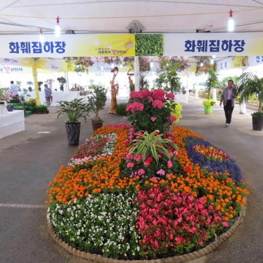 음성 청결고추와 꽃 축제가 만났을때