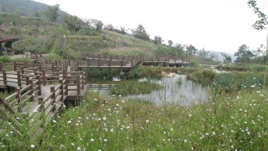 아산 영인산수목원에 가을꽃 활짝
