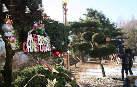 충북보건과학대, 트리 꾸미기 행사 개최