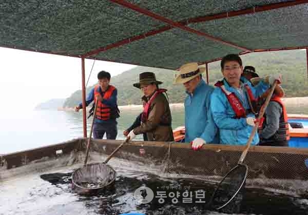 당진시 어족자원 확충에 앞장