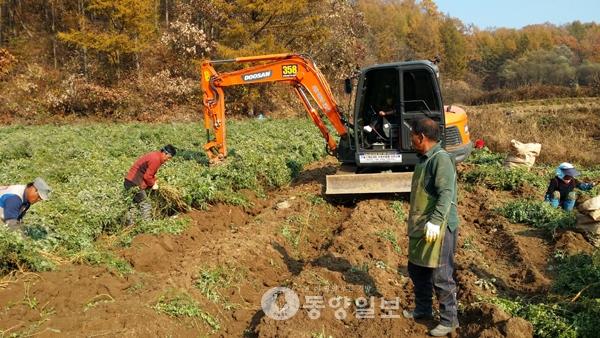 제천 우수약초 생산지원 총력