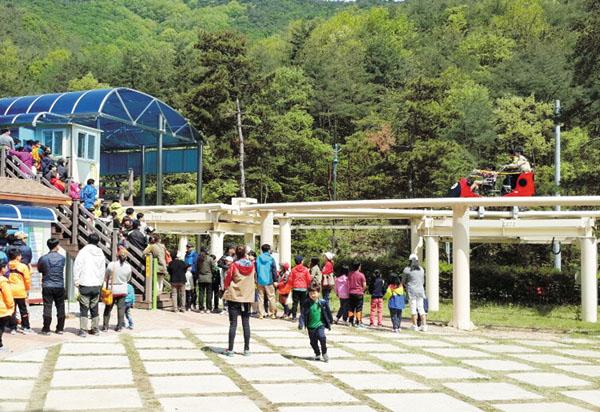 속리산 솔향공원 스카이바이크 타고 씽씽~