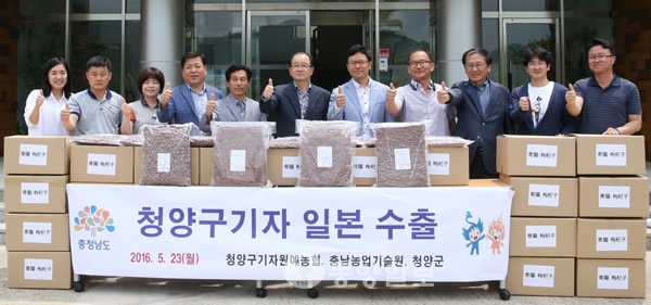 청양 특산물 구기자 일본 첫 수출