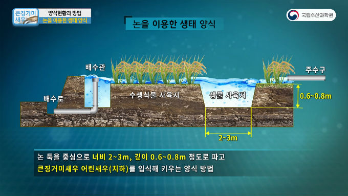 내수면 양식·농업 융합 본격 추진