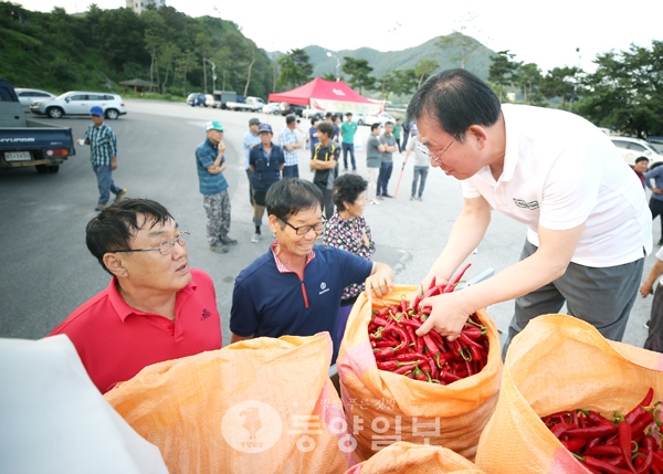 괴산홍고추 이보다 더 좋을 순 없어