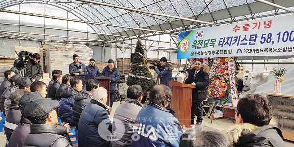 옥천 과일 묘목, 해외시장 첫 진출