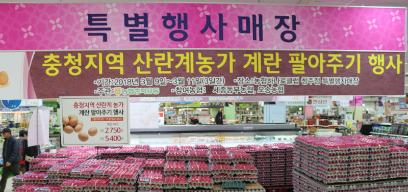 농협충북유통 충청지역 농가 계란 팔아주기 행사