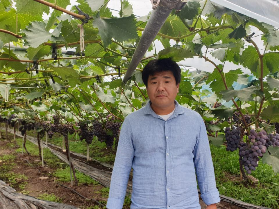옥천군 26대 포도왕에 도담농장 이정민 대표