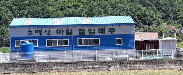 강소농을 꿈꾼다(120)/  단양 하일영농조합법인