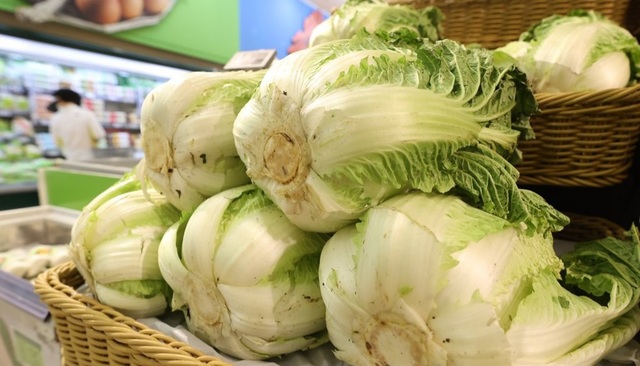 배추 비축량 늘려 수급 안정화 꾀한다