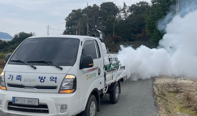 음성군, 가축전염병 차단 방역 총력