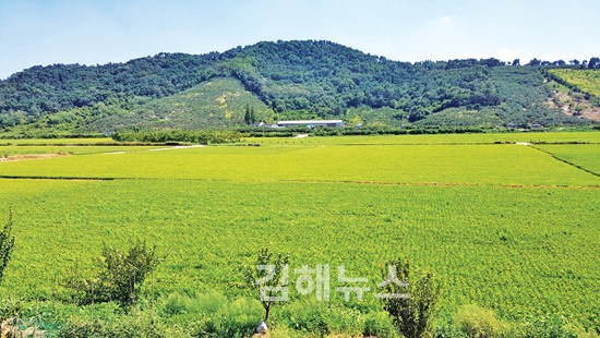 봉하마을 농업진흥구역 해제 여부 결정 미적