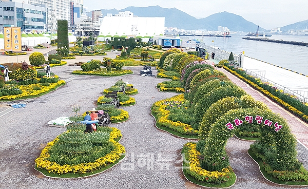 마산 앞바다 가을, 국화로 물들다