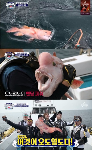나만 믿고 따라와, 도시어부 오도열도에서의 용족 부활, 이경규 81cm 인생 고기, 정체는? 혹돔?