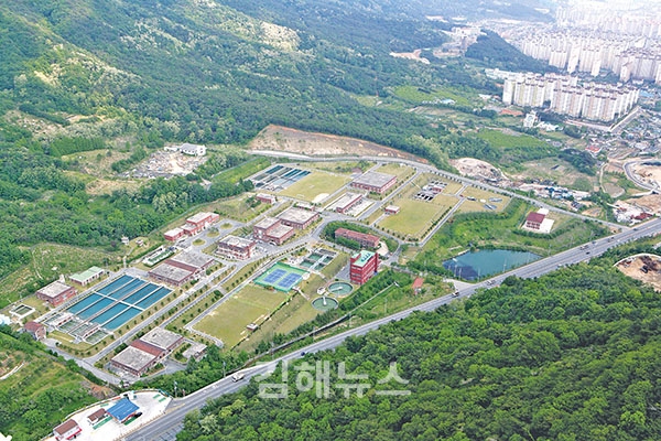 김해 삼계정수장서 물벌레 2마리 발견