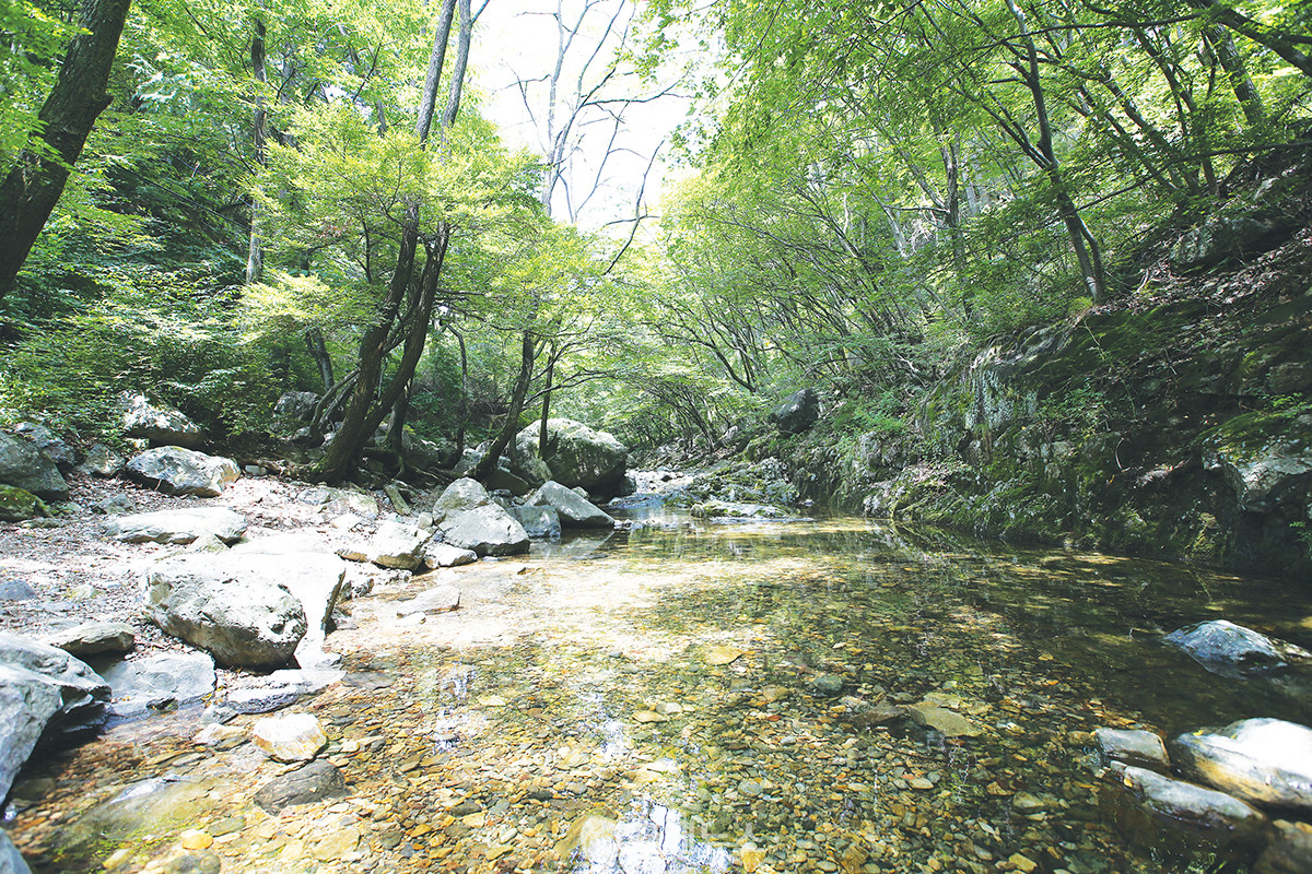 환경연합, 대청계곡 누리2길 연장사업 철회 촉구