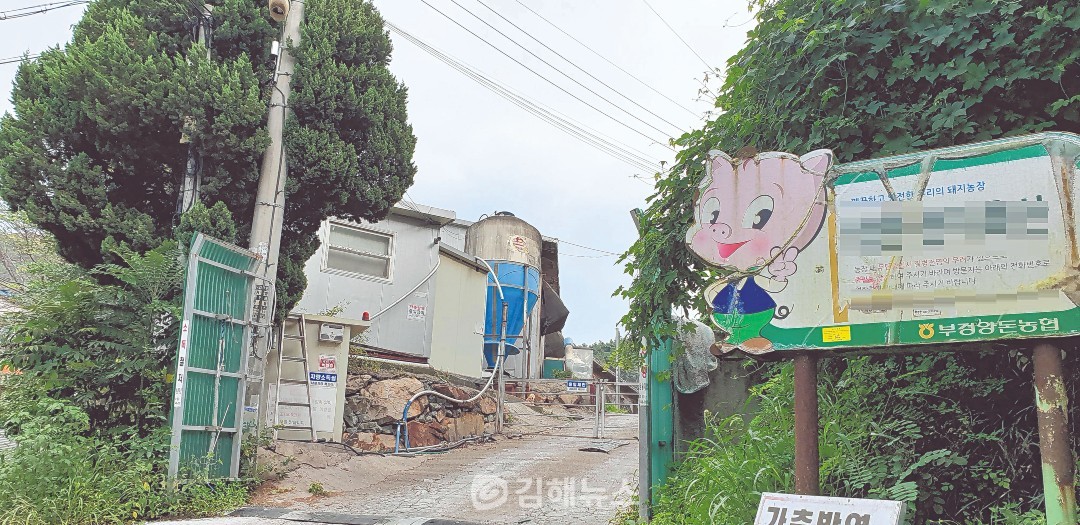 김해 주촌 최대 축사 문닫고 대규모 아파트 단지 들어선다