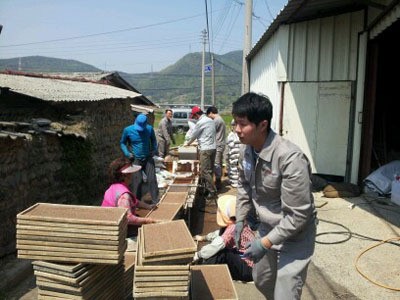 (주)건화, 농번기 일손 돕기 나서