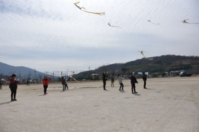 양보초, 소원을 단 연날리기 행사 참가