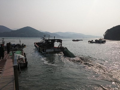 남해군 창선면 부윤2리 어촌계, 어장정화