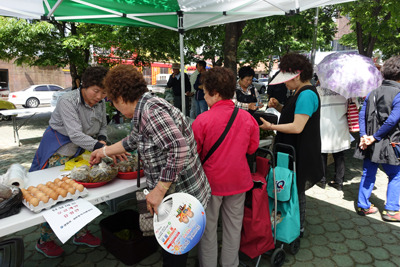 감자 맛 좋아 매년 일찍 다 팔려요