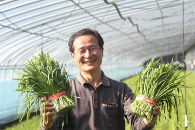 고성군 부추, 농가 효자 노릇 톡톡