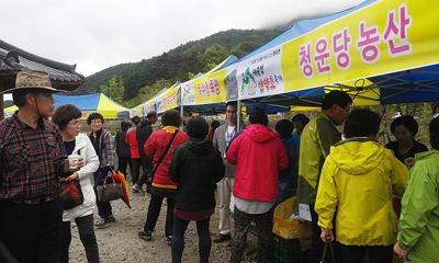 이래도 즐겁고 저래도 즐겁네