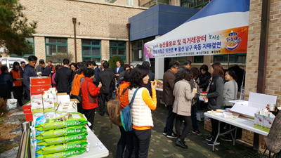 울산 옥동 직거래 장터 운영