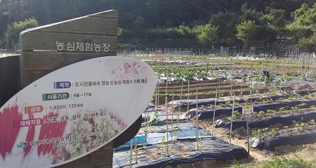 도심속 우리가족의 힐링공간, 주말체험농장 텃밭 분양