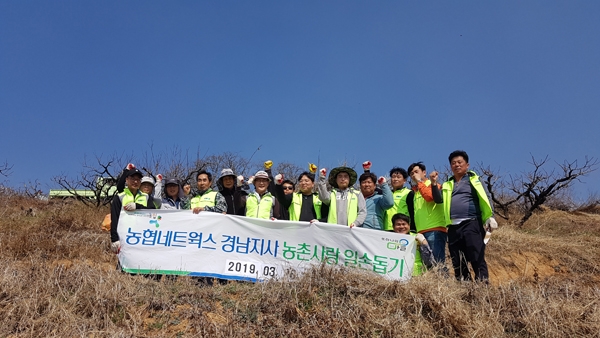 농협네트웍스 경남지사， 농촌사랑 일손돕기