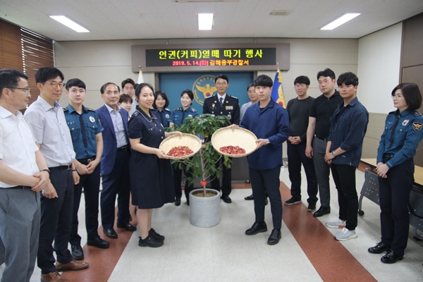 김해중부경찰서， 청렴 인권(커피)열매 따기 행사
