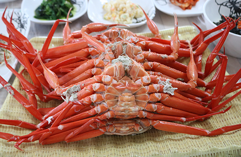 강릉 경포대 맛집 주문진 홍게무한리필, 강릉 단오제를 즐기는 여행객들의 입맛 사로잡아