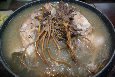 자연재료 와송ㆍ생오리 보양식… 맛 깔끔해요