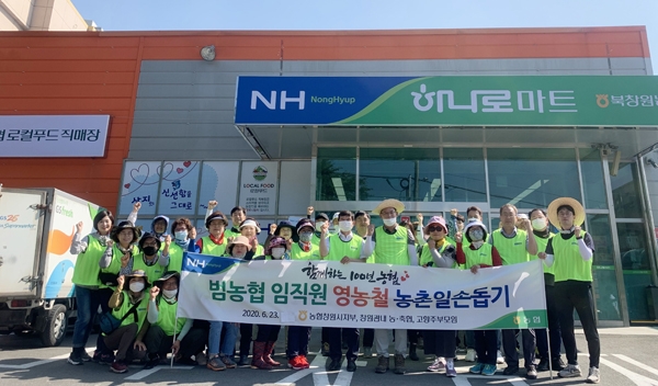 농협창원지부， 북면 신기마을 감자 수확 일손돕기